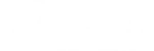 Menzio Srl